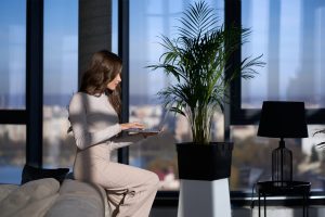 Side view of charming young woman in casual outfit using wireless laptop while sitting on couch. Attractive brunette relaxing at modern apartment with portable computer in hands.